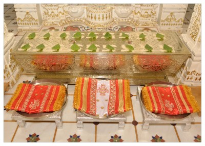 શ્રી મંગલકારી પાર્શ્વનાથ  ભગવાન ની ૧૭ મી વર્ષગાંઠ